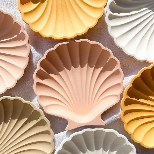 Shell Craft Kit